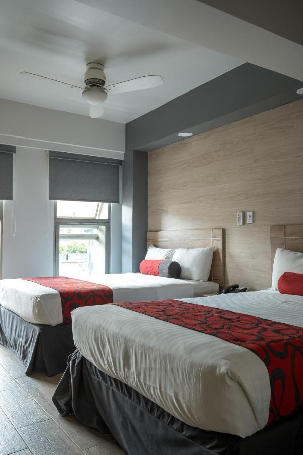 Hotel Roble Mexico City Ngoại thất bức ảnh