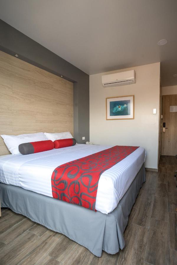 Hotel Roble Mexico City Ngoại thất bức ảnh